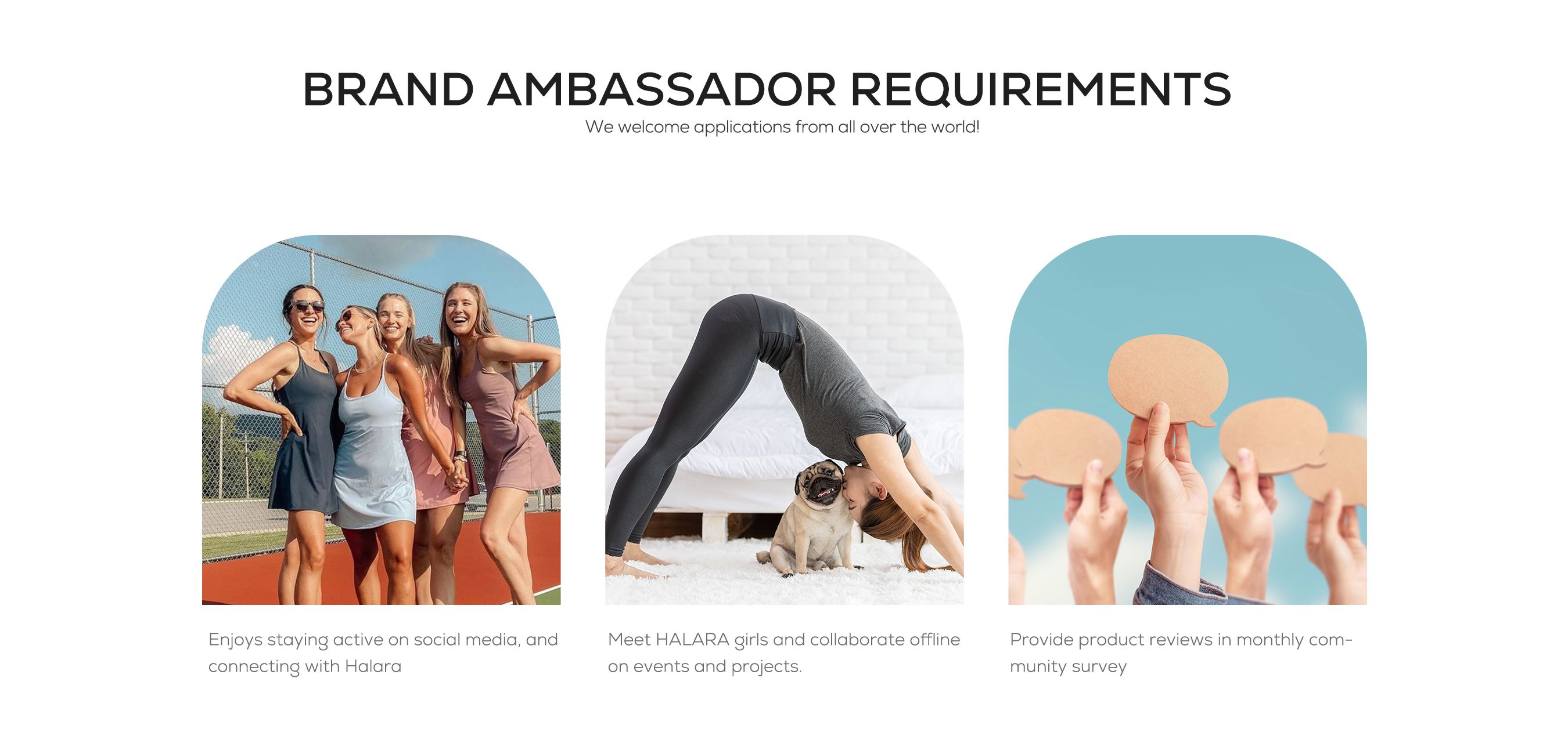 Ambassador Ambassador